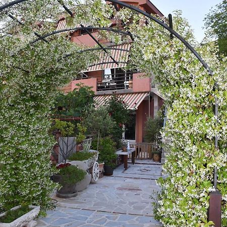 Apartments Scepanovic Tivat Exterior foto