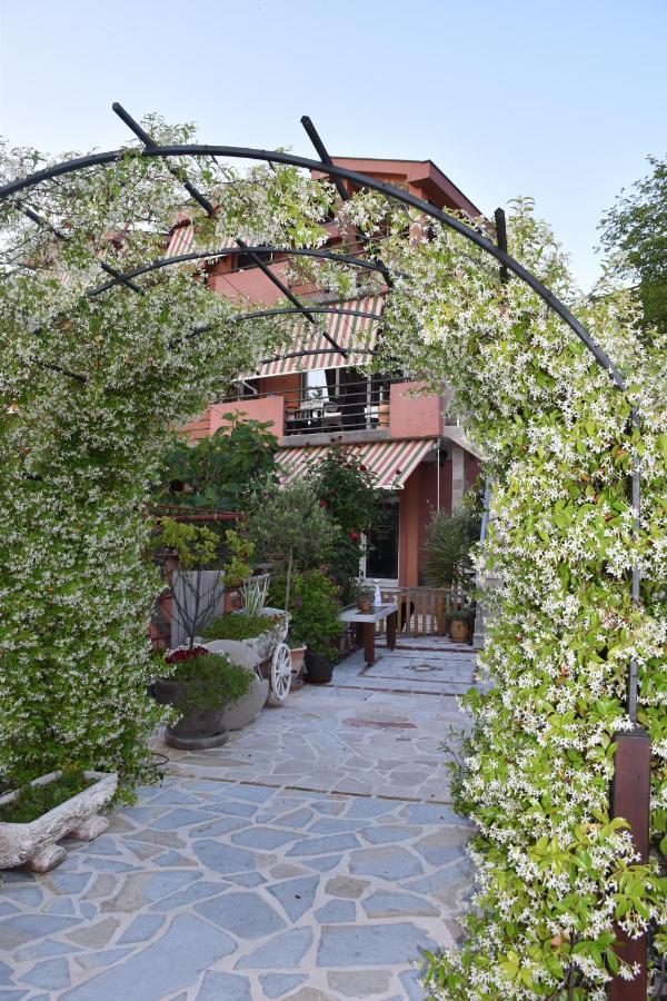 Apartments Scepanovic Tivat Exterior foto