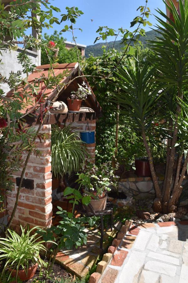 Apartments Scepanovic Tivat Exterior foto