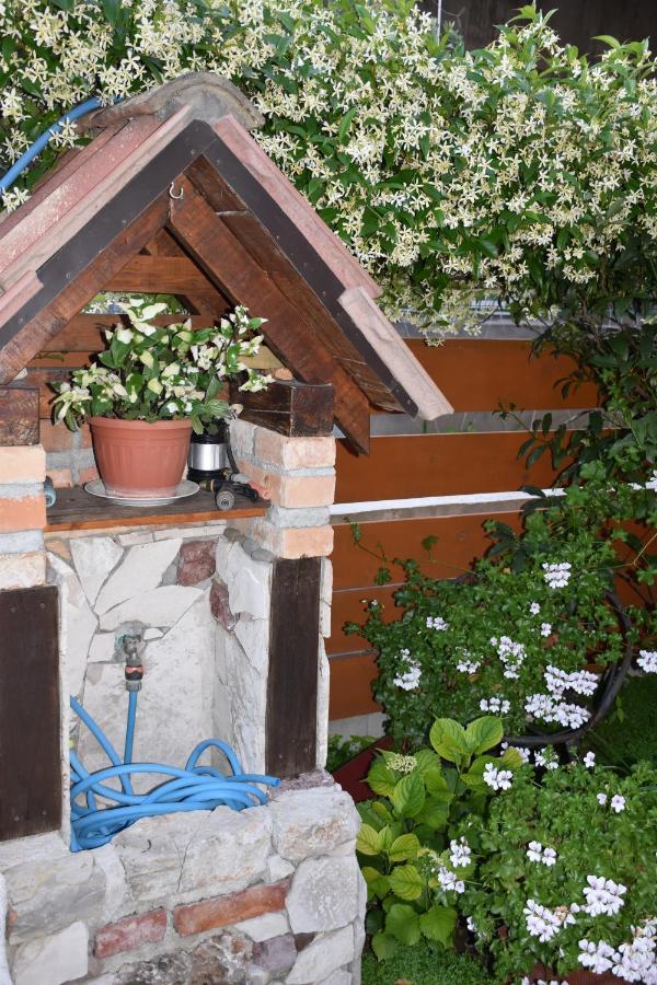 Apartments Scepanovic Tivat Exterior foto