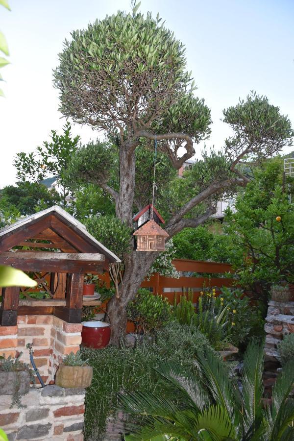 Apartments Scepanovic Tivat Exterior foto